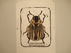PB030081