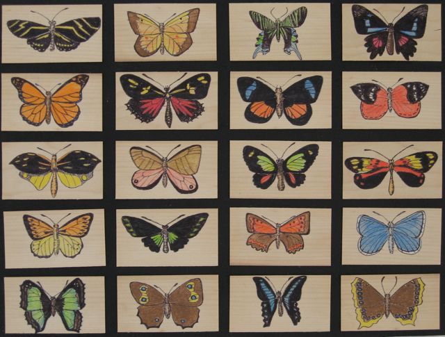 Specimens (16