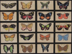 Specimens (16